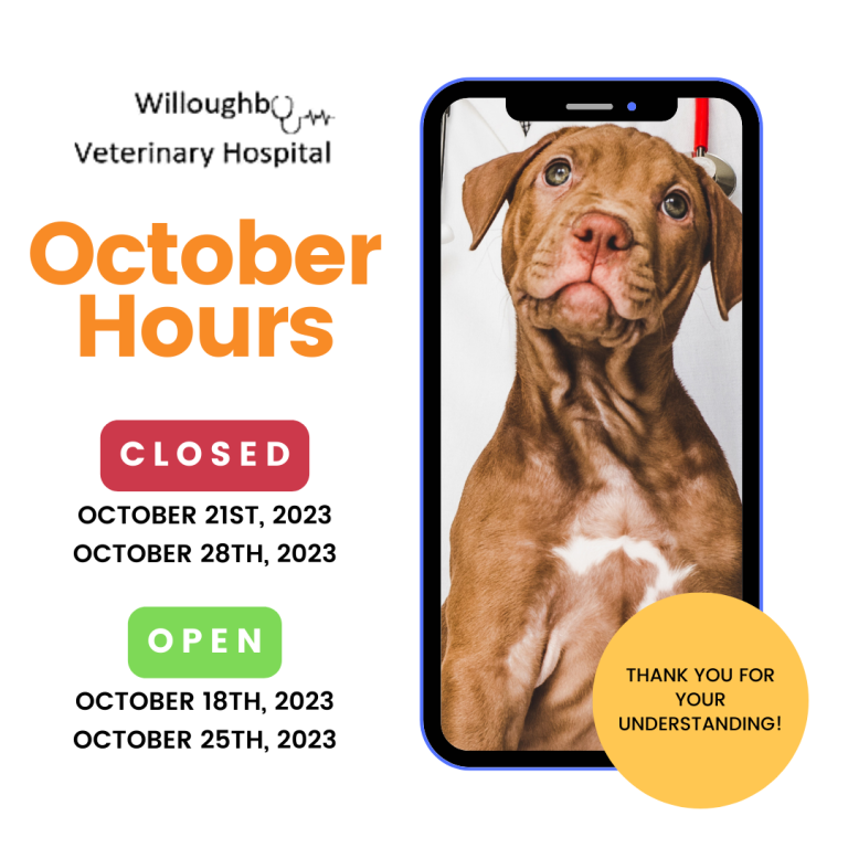 Veterinarian in Holt, MI Willoughby Veterinary Hospital