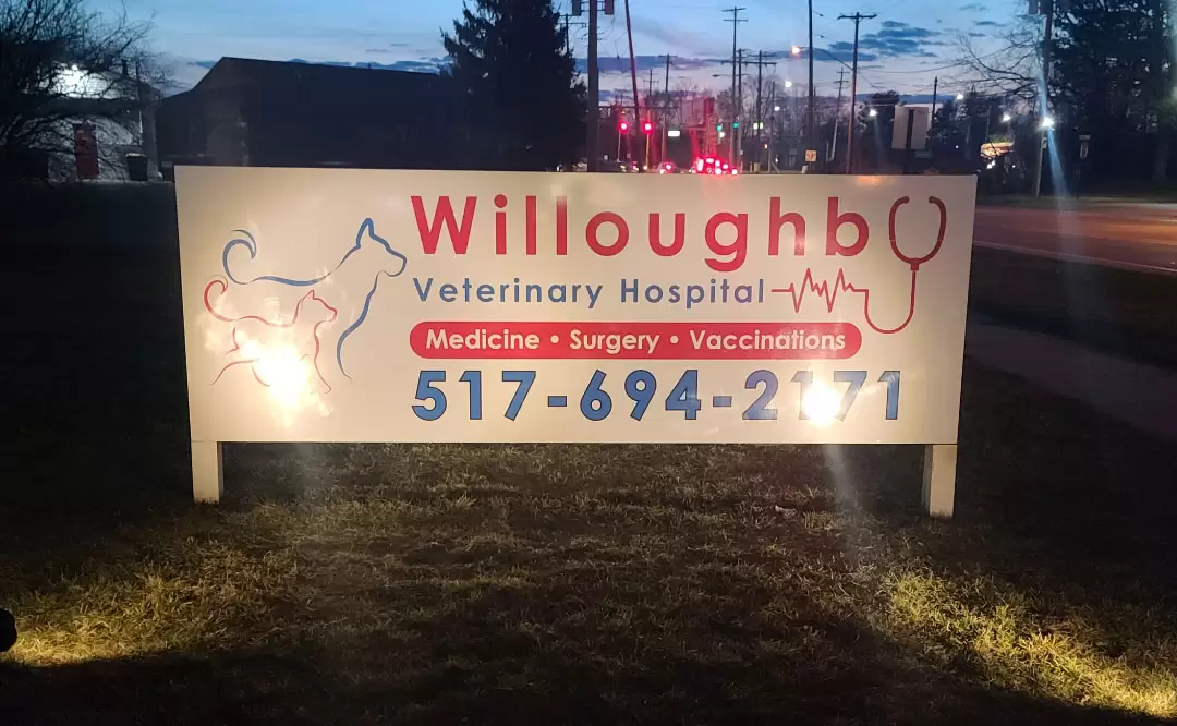 Veterinarian in Holt, MI